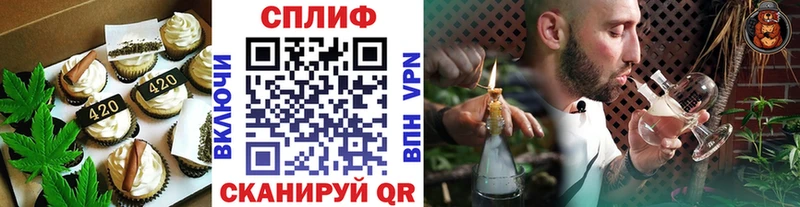 где продают Шахунья MEGA tor Еда ТГК конопля