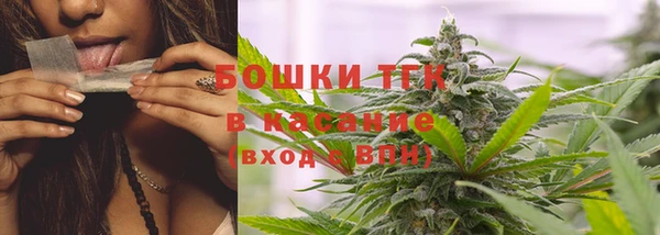бошки Пересвет