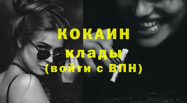 бошки Пересвет