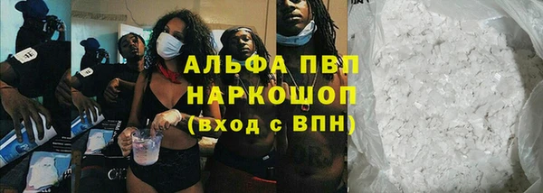 ПСИЛОЦИБИНОВЫЕ ГРИБЫ Абаза
