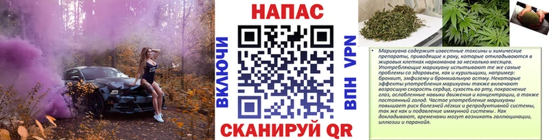 Бошки марихуана Amnesia  где найти   Шахунья 